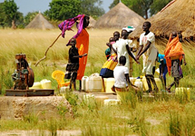 View details: Sudan Health Transformation Project (SHTP) View details: Sudan Health Transformation Project (SHTP)
