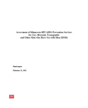 Assessment of Minnesota HIV/AIDS Prevention Services for Gay, Bisexual, Transgender and Other Men who Have Sex with Men (MSM) Assessment of Minnesota HIV/AIDS Prevention Services for Gay, Bisexual, Transgender and Other Men who Have Sex with Men (MSM)
