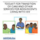 Adol HIV Tool cover