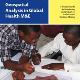 geospatial analysis MEASURE report