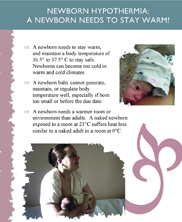 Download this publication Download this publication