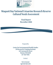 Download this publication Download this publication