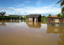 View details: Environmental Health Project (EHP) View details: Environmental Health Project (EHP)