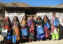 View details: Nepal Family Health Program (NFHP) II View details: Nepal Family Health Program (NFHP) II