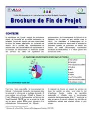 Download this publication Download this publication