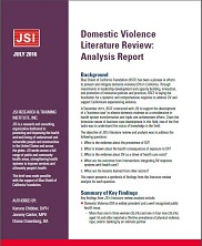qualitative research report on domestic violence